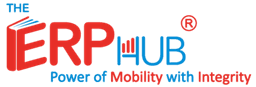 TheERPHub