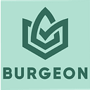 Burgeon Insurance